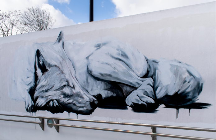 Projeto “A Lata Delas”