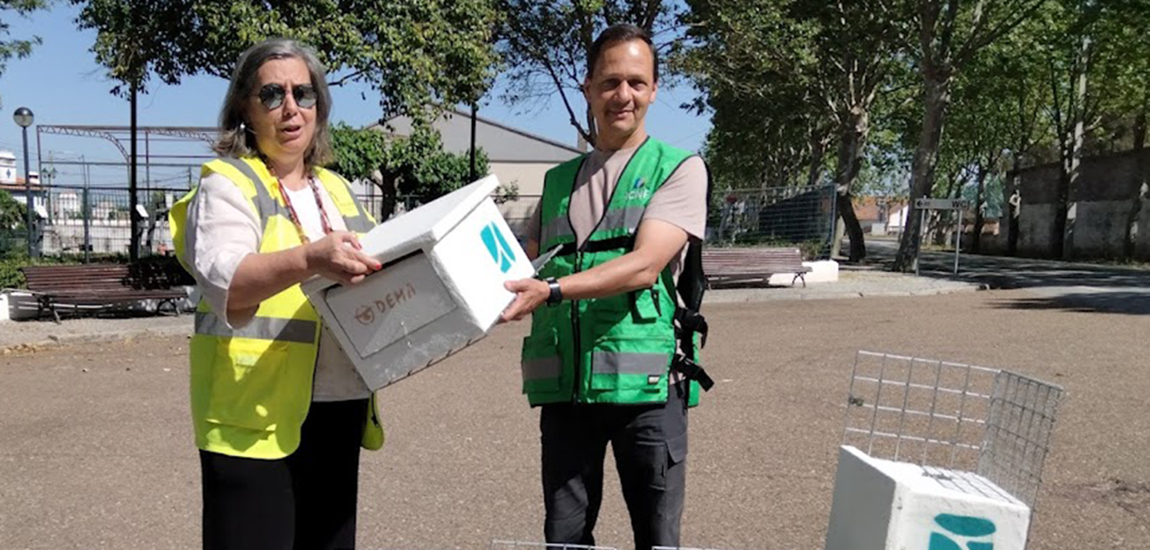  IP entrega ao ICNF caixas-ninho para Francelho/Peneireiro-das-Torres