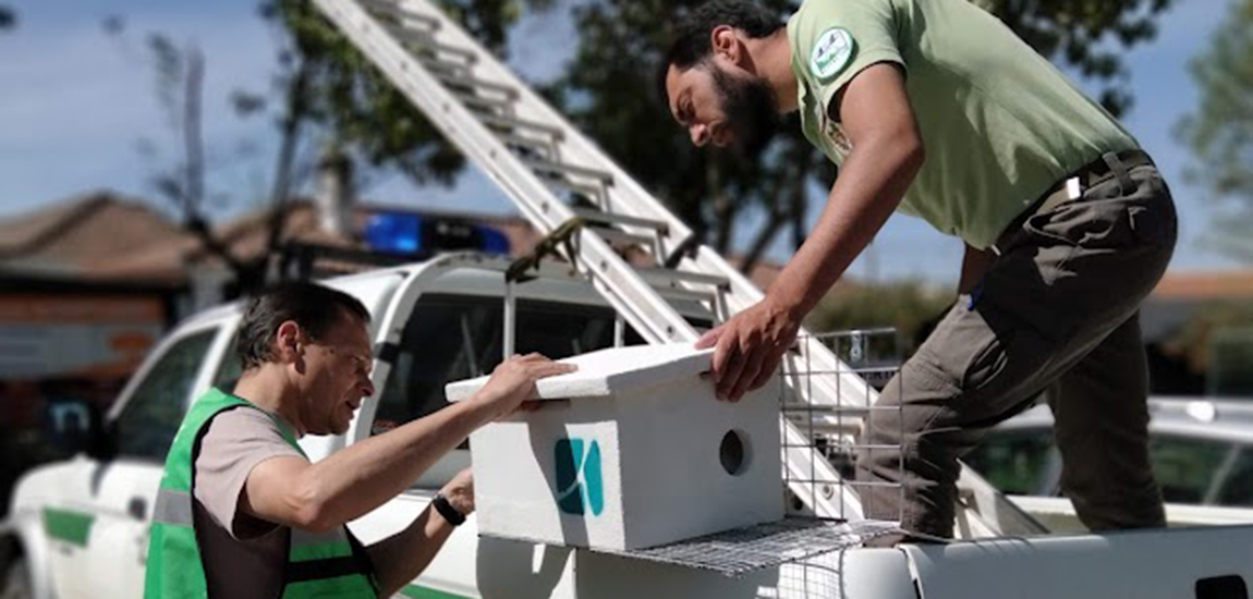 IP entrega ao ICNF caixas-ninho para Francelho/Peneireiro-das-Torres