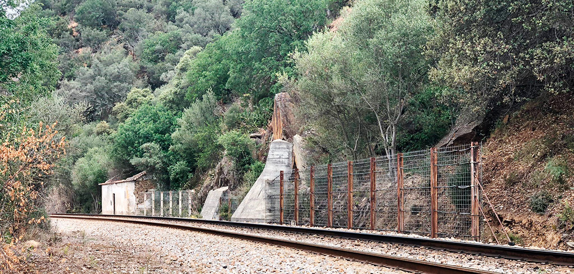 Linha do Douro - Renovação de barreiras dinâmicas de proteção a taludes