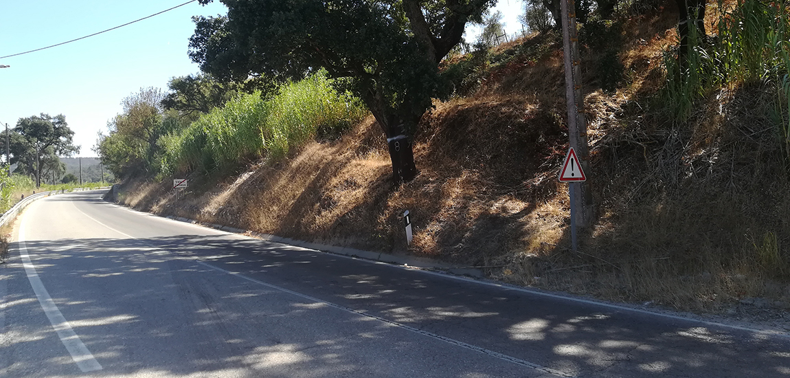 Estabilização de Taludes em Rodovias no Distrito de Santarém.