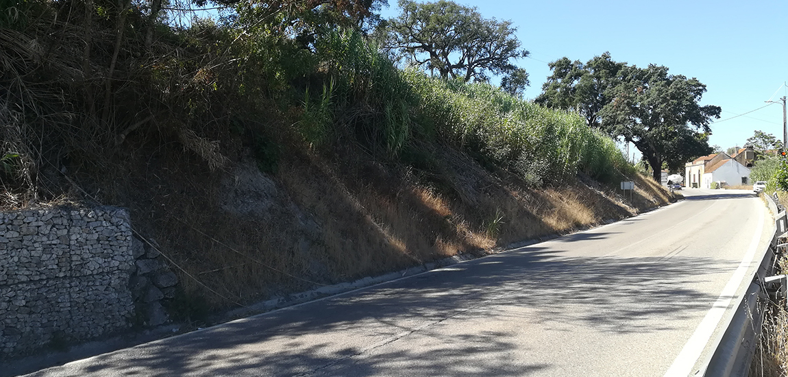 Estabilização de Taludes em Rodovias no Distrito de Santarém.