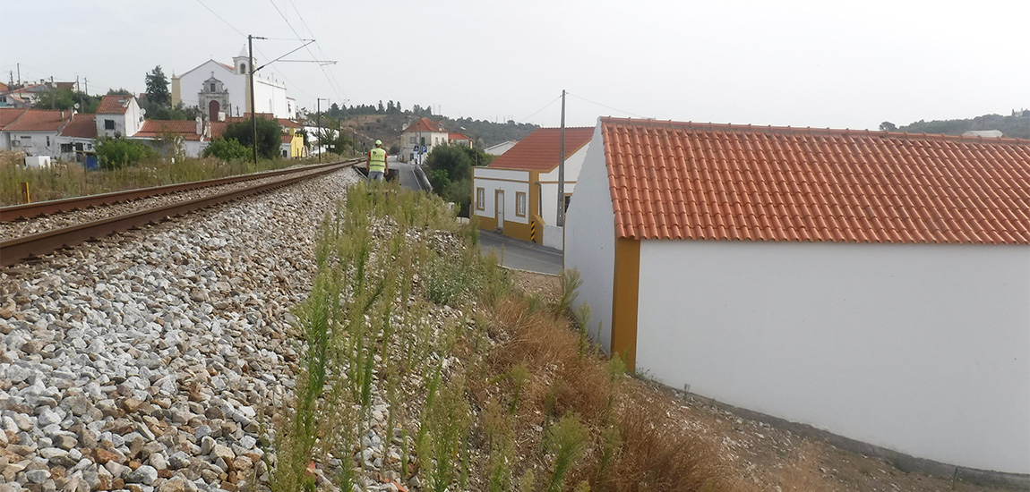 Linha da Beira Baixa