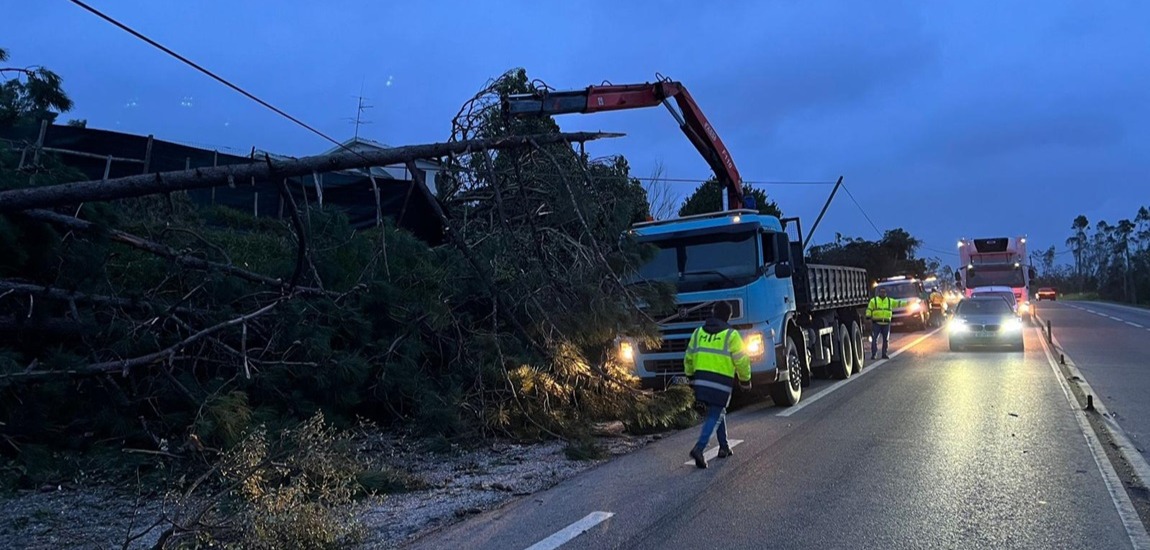 Infraestruturas de Portugal: a força de quem está no terreno em dias de tempestade