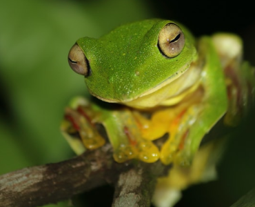 Ações de Conservação da Natureza