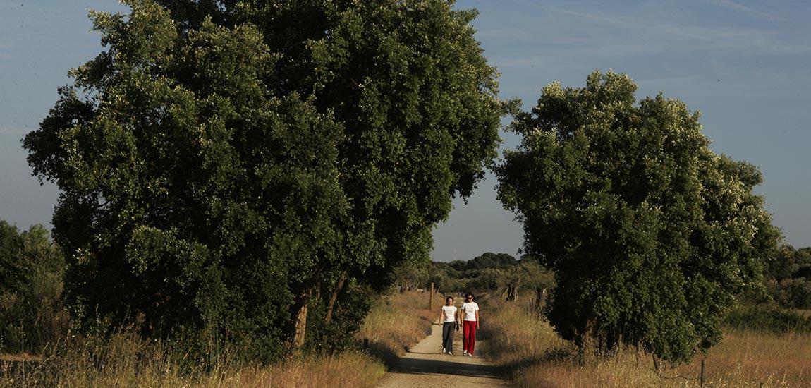 Ecopista de Mora