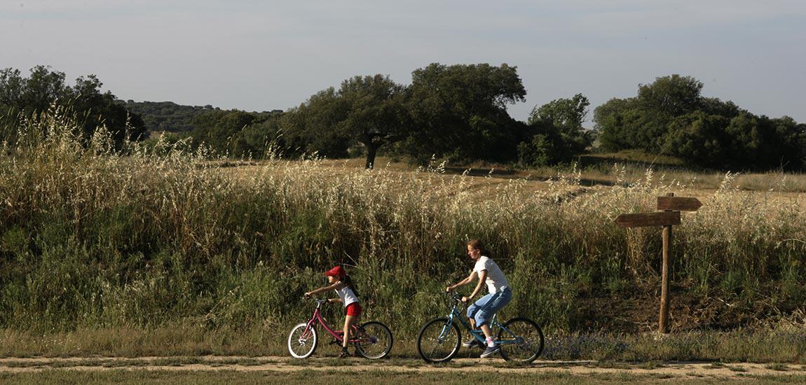 Ecopista de Mora