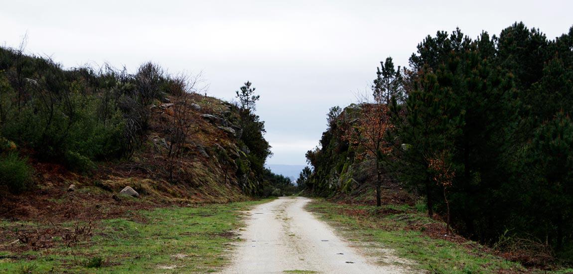 Ecopista do Corgo