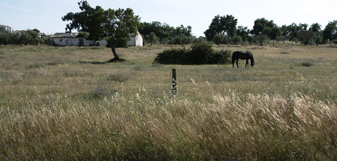 Ecopista de Mora