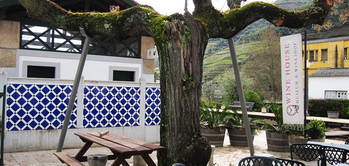 Estação do Pinhão Foto 5