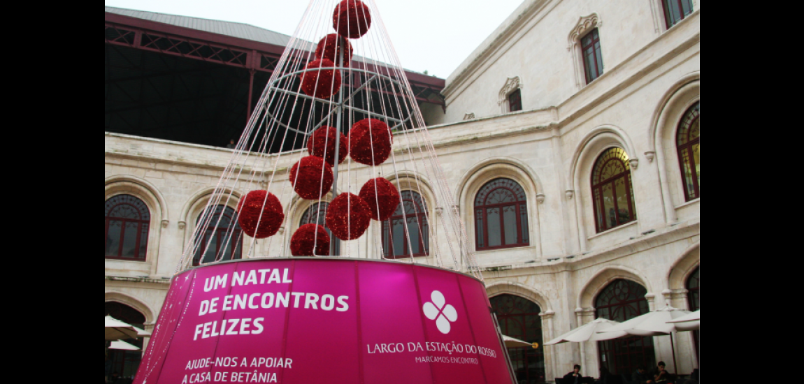 Social Responsibility & Volunteer Activities