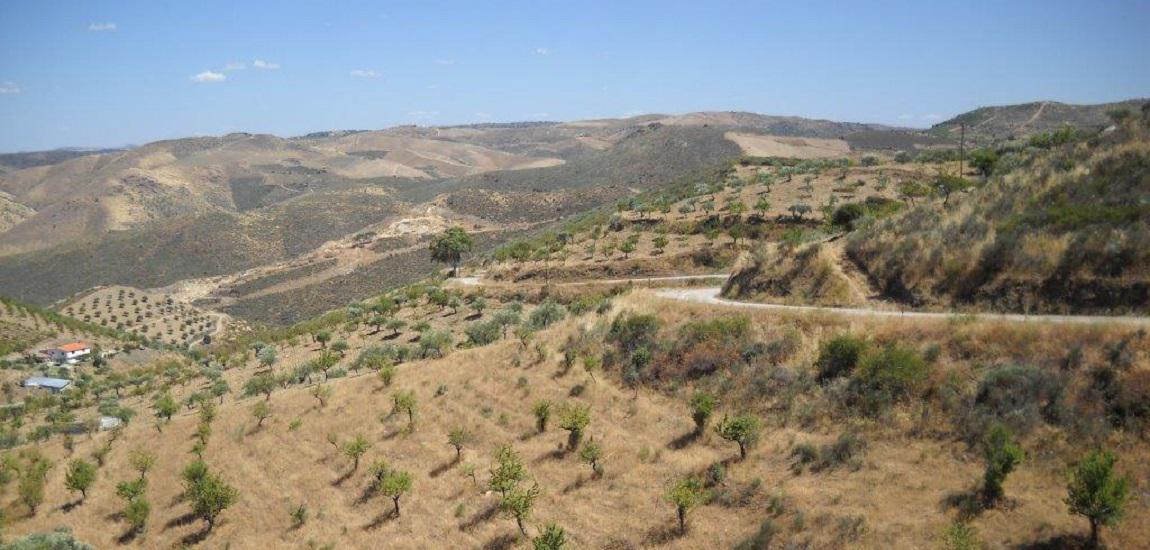 Estrada Nacional 332