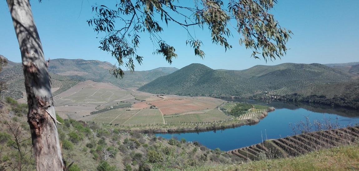 Estrada Nacional 332