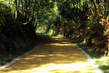 Ecopista do Tâmega Foto