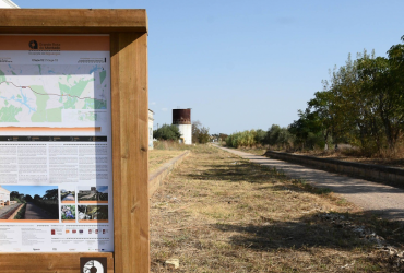 Ecopista de Reguengos: fotografia 1