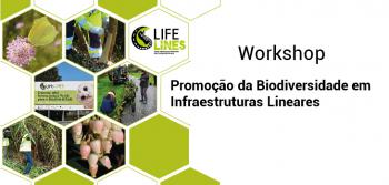 Workshop "Promoção da Biodiversidade em Infraestruturas Lineares"