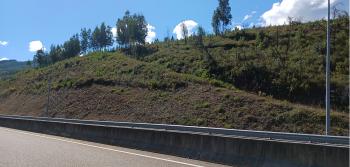 Talude Km 116 IC8 V. Poente 